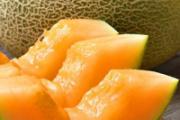 哈密瓜坏了发苦有毒吗 哈密瓜发苦的原因