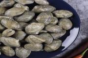 花蛤蜊不能和什么一起吃 花蛤蜊什么人不能吃