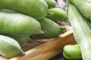蚕豆煮多长时间会熟 蚕豆没熟可以吃吗