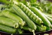 豌豆没熟吃会中毒吗 豌豆生吃好还是熟吃好