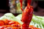 小龙虾头上的黄能吃吗 龙虾头里面的黄是什么