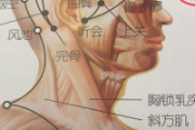 悬厘的准确位置图 悬厘准确位置图和作用