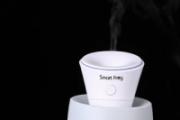 加湿器没有雾气怎么办 加湿器喷雾的好还是不喷雾的好