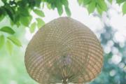 夏天房间闷热怎么降温 夏天不用空调怎么降温