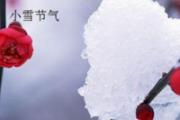 小雪养生 人体这8个部位冻不得