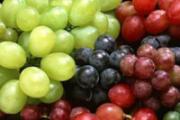 补气血的食物有哪些 气血充足才能活得更美