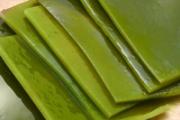 海带有味道了还能吃吗 海带有粘液是怎么回事