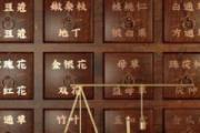 阳虚怎么调理见效快 阳虚体质容易得什么病