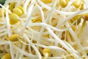 炒豆芽用焯水不 豆芽没焯水直接炒有毒吗