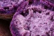 紫薯长芽还能吃吗 紫薯可以蒸熟后冷冻保存吗
