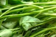 吃空心菜有什么作用 空心菜的适用人群与禁忌人群