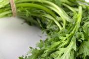 茼蒿和冬瓜能一起吃吗 冬瓜禁忌什么一起吃