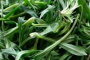 最养生的十大野菜 吃野菜3大禁忌
