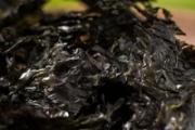 干紫菜可以生吃吗 紫菜开水一冲可以喝吗