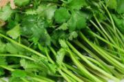 吃香菜有什么好处 香菜和什么一起吃好