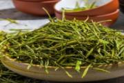 绿茶可以做奶茶吗 绿茶可以放蜂蜜一起喝吗