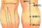 承筋准确位置图和作用 承筋的作用与好处