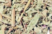 中药能用保温杯装吗