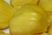 菠萝蜜不能和什么同吃