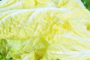 白菜怎么做好吃 怎么炒白菜好吃又简单