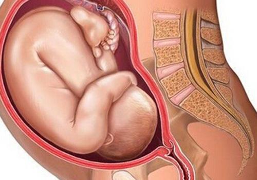 新生儿脐带半个月还没掉怎么回事脐带十几天还不掉怎么办 乐哈健康网 新生儿脐带半个月还没掉怎么回事脐带十几天还不掉怎么办 乐哈健康网