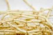 什么中药泡水喝可以清肺 清肺用什么泡水