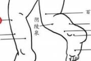 小儿足三里的准确位置图和作用 小儿推拿足三里怎么按