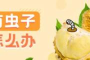 榴莲有虫子正常吗 榴莲有虫子吃了怎么办