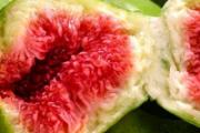 无花果去火还是上火 经期吃无花果会经量增多吗