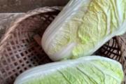 大白菜怎么吃最有营养 你需要掌握这9种妙用法