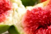 无花果煮水喝下奶吗 无花果下奶的做法大全