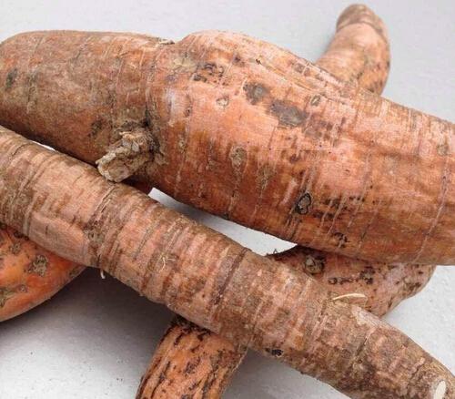 牛大力的营养价值