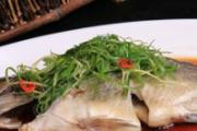 清蒸桂鱼