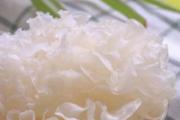 白木耳要泡多久会有毒 白木耳可以用热水泡发吗