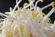 春天排毒吃什么 5种食物要多吃