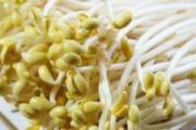 黄豆芽的营养价值
