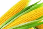 怎样预防湿气 日常多吃这些食物可以预防湿气