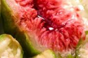 无花果开花吗 无花果开口好还是不开口好