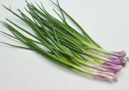 葱对身体有什么好处 吃葱一根,顶药十副?葱白