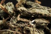 干紫苏叶的功效与作用 干紫苏叶和新鲜紫苏叶哪个好