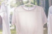白醋小苏打洗白衣服的正确方法 白衣服怎么洗和新的一样