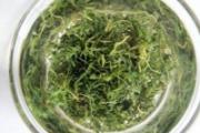 肝胆湿热吃什么中成药 肝胆湿热最好的中成药