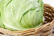 圆白菜功效与作用
