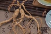人参怎么食用最补 人参有什么用处
