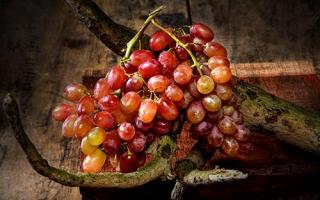 胖大海和罗汉果可以一起泡吗