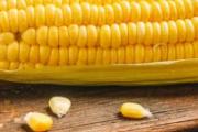 玉米生冻还是熟冻好 玉米冷冻可以保存多久