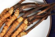 冬虫夏草分几个等级 虫草多少头比较好