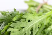 牛肉和茼蒿可以一起吃吗 牛肉和茼蒿怎么做好吃