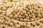哺乳期能吃黄豆吗 哺乳期怎么吃黄豆好