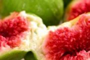 宝宝吃无花果会上火吗 吃无花果干上火怎么办